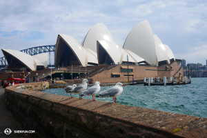 Ein Besuch beim Sydney Opera House und ein Moment der Ruhe und Harmonie … (Foto: Tänzer Ben Chen)
