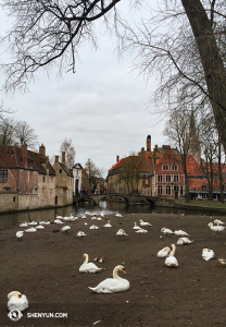 Noch mehr Brügge. (Foto: Annie Li, Bühnenprojektion)