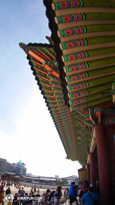 Unter den Giebeln im Gyeongbokgung Palast. Der Palast wurde im alten Stil chinesischer Architektur gebaut; traditionelle chinesische Kultur wird in Südkorea sehr verehrt, aber ironischerweise wurde eine Aufführung traditioneller chinesischer Kultur gestrichen – und dies wegen der Chinesischen Botschaft. (Foto: Tänzer Ben Chen)