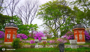 Gärten innerhalb des Gyeongbokgung Palastes. (Foto: Tänzer Jun Liang)