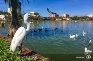 Bevor die Shen Yun International Company zu 12 aufeinander folgenden Shows in Philadelphia aufbrach, hatte sie ihre Florida-Tour mit Aufführungen in der treffend genannten Stadt Lakeland beendet. (Foto: Annie Li, Bühnenbild)