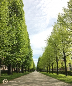An das Theater schließt sich ein langer, von Bäumen gesäumter Fußweg an, der in einen reizvollen Park führt. Die Gruppe hat noch mehrere Städte in Europa auf dem Tourneeplan, inklusive Berlin und Frankfurt. (Foto: Regina Dong, Bühnenprojektion)