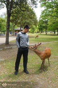 Tänzer Daren Chou schloss neue Freundschaften in einem japanischen Park.