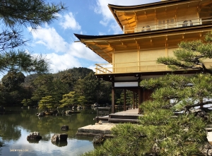 Die Tänzerin Betty Wang beschloss, den Kinkaku-ji (den Goldenen Pavillon) in Kyoto zu besuchen.