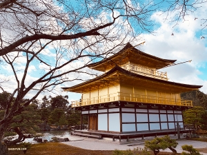 Nächste Mission: Die Tänzer der Shen Yun World Company sind entschlossen, den berühmten Goldenen Pavillon in all seinen Facetten einzufangen. (Foto: Lily Wang)