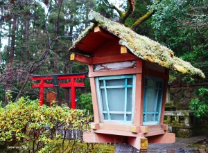 Ein Spaziergang durch Arashiyama ist wie der Eintritt in eine andere Welt. (Foto: Tänzer Jeff Chuang)