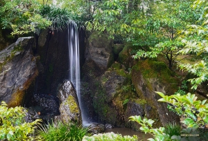 In der ruhigen und schönen Landschaft um den Goldenen Pavillon herum gibt es den den Karpfen-Wasserfall.