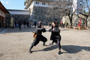 Klassischer chinesischer Tanz und chinesische Kampfkünste sind wie Geschwister, die sich lange aus den Augen verloren haben; fragen Sie nur die Erste Tänzerin Michelle Lian und diesen Ninja.