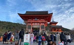 Das Neujahr erfordert festliche Kleidung und die Kimono-Sportler in Kyoto kommen dem nach.

(Foto: Angelia Wang)