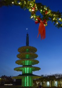 Nach einer Silvester-Matinee-Aufführung sehen sich die Darsteller in der Japantown von San Francisco um.

(Foto: Johnny Chao)