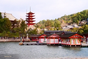 Itsukushimas kultige fünfstöckige Pagode aus der Ferne.