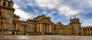 Ein regnerischer Tag wird genutzt, um den Blenheim-Palast, eines der größten Gebäude in England, zu erkunden.
(Foto: Tony Xue)