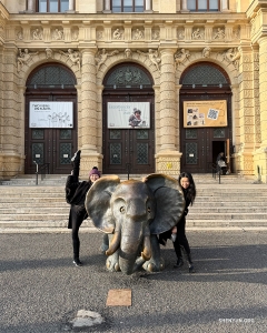 Tänzer freuen sich über eine unerwartete Begegnung mit der Tierwelt mitten in der Stadt: Die Skulptur „Elefant“ heißt die Besucher im Naturhistorischen Museum in Wien willkommen.