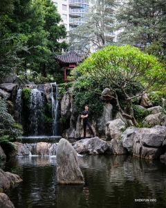 In Sydney, Australien, machen Tänzer einen entspannten Spaziergang durch den Chinesischen Garten der Freundschaft.