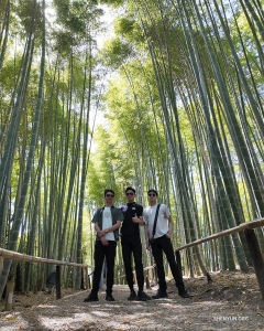 In Kyoto erkunden Tänzer einige der über 2.000 buddhistischen Tempel und Shinto-Schreine der Stadt, angefangen bei einem Bambushain auf dem Gelände des Kodai-ji-Tempels …